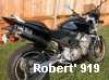 Robert's 919
